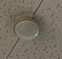 塾の天井に着いていたのですが、これは監視カメラですか？