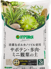 多肉植物のカット苗を購入しました カット苗におすすめの市販で買える土を教えてほ Yahoo 知恵袋