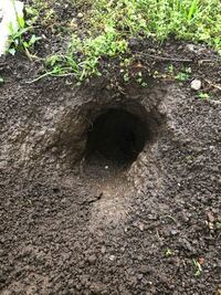 熊が冬眠するときに使う巣穴の形状 巣穴の作り方を教えてください Yahoo 知恵袋
