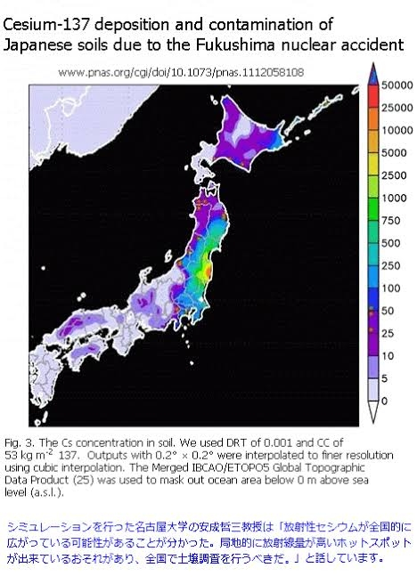 栃木県産のタケノコとかが、メルカリ等で安く流通していますが、セシウム濃度とか測定していると思われますか？ 測定しているなら、このタケノコは放射性セシウムが何十ベクレルですとか、明記してありますか？