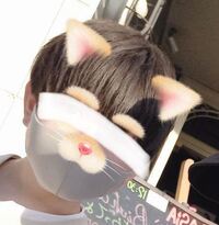 こちらSNOWのエフェクトはなんて検索すれば出てくるのでしょうか？わかる方教えてください。 