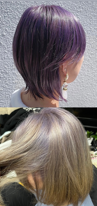 初めて行った美容院で失敗されました

紫色を入れたくてヘアカラーの写真を用意して、担当の美容師の方に見せ、この位の暗さの色味でお願いしますと伝えました(上の写真) その時に、美容師の方に今まででブリーチは全頭1回のみで以前も別の美容院で紫色を入れた事も伝えました

髪を染めてから1ヶ月以上たっており地毛が生えてきて若干プリン状態になっていた為、美容師の方が、

「地毛部分を毛先部...