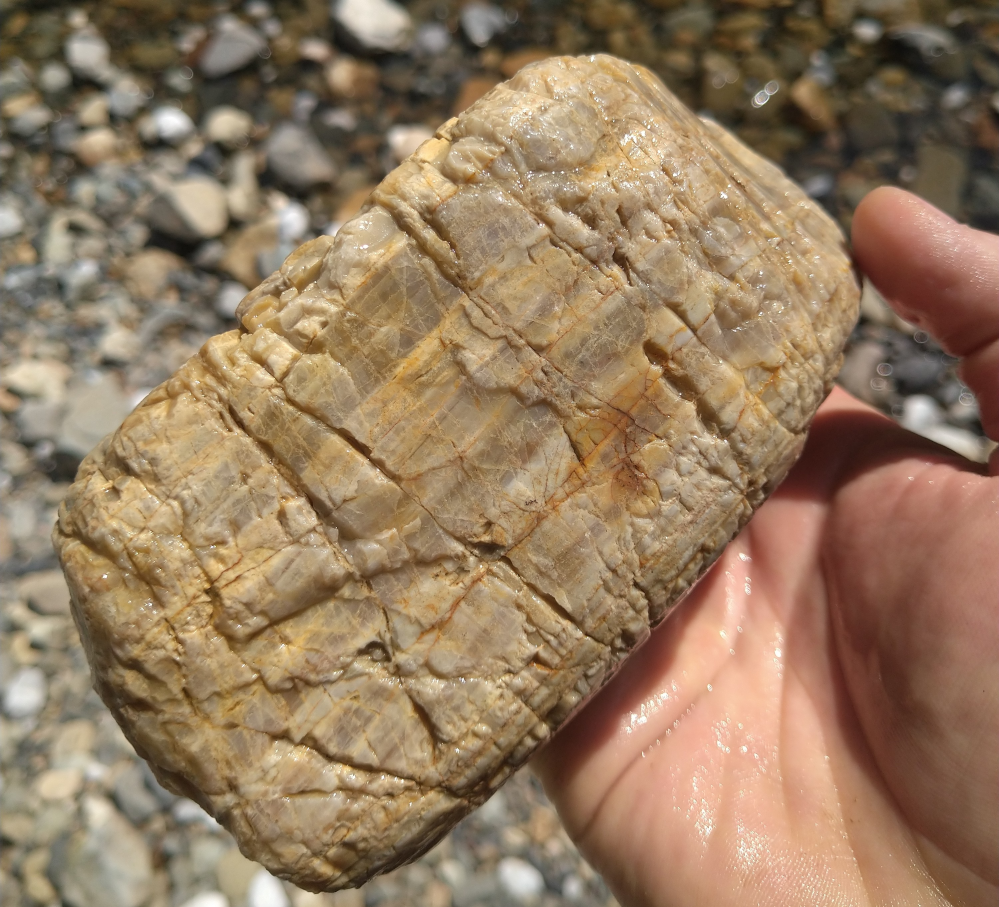 河原の石の特定について こんにちは 先日河原で岩石の観察を行っていた Yahoo 知恵袋