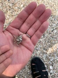 オカヤドカリは溺れますか 溺れますよ ヤドカリが完全に水没 Yahoo 知恵袋