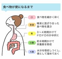 下剤コーラック50コイン この画像からみるに 食後3 4時間後に下剤を飲め Yahoo 知恵袋