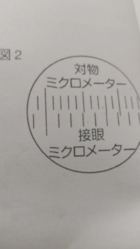 接眼ミクロメーターを装着した顕微鏡で 長さ1mmを100等分した目盛がついた対 Yahoo 知恵袋