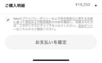 ナイキのアプリでこうなって注文が確定できないです。なぜですか