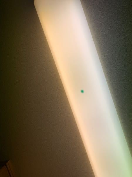 質問失礼します。 家のリビングに設置してある蛍光灯から何か緑色の液体？か何かがでていました。 半年くらい前に買い換えた蛍光灯なのですが、使用していて大丈夫なのでしょうか？