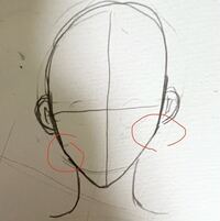 アドバイスよろしくお願いします 十字線を描いてもエラが左右非対称 Yahoo 知恵袋