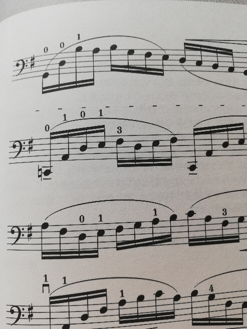 チェロの楽譜です。 五線、音符 の上下の 「-」の表示はなんですか？ テヌート？ですか？ 初心者です、宜しくお願いします。
