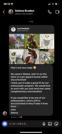 インスタで飼っている犬を毎日載せているんですが 海外の方からdmが来 Yahoo 知恵袋