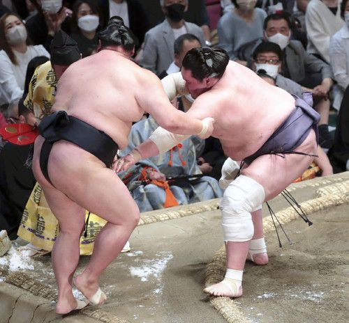 ドラマ フィッティング ヒギンズ 痛み分け 相撲 Organichouse Kumamoto Jp