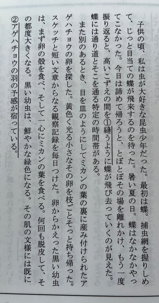 こそそめスープについての質問です。こそそめスープで筆者は何を伝え