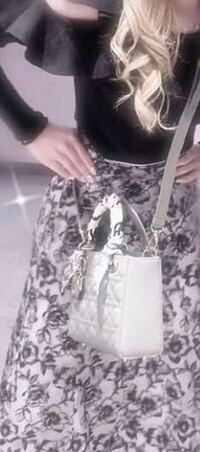 拾い画失礼致します。 レディディオールのバッグの購入を考えているのですがこちらの女性がお持ちの物はどのサイズのものでしょうか？同じようなサイズの物を持っている方、お教え頂けますと有難いです。公式サイト記載のW×D×Hで教えて頂けますとより嬉しいです。宜しくお願いいたします。

量産型 Dior ハイブランド
