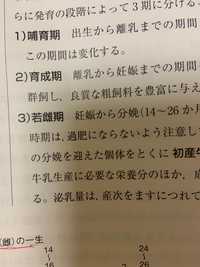畜産科の学生です 若雌 の読み方がわかりません わかる方お願いし Yahoo 知恵袋