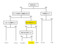 中１理科 科学動物の分類について 問題集の答えが画像の様になっていました 黄色 Yahoo 知恵袋