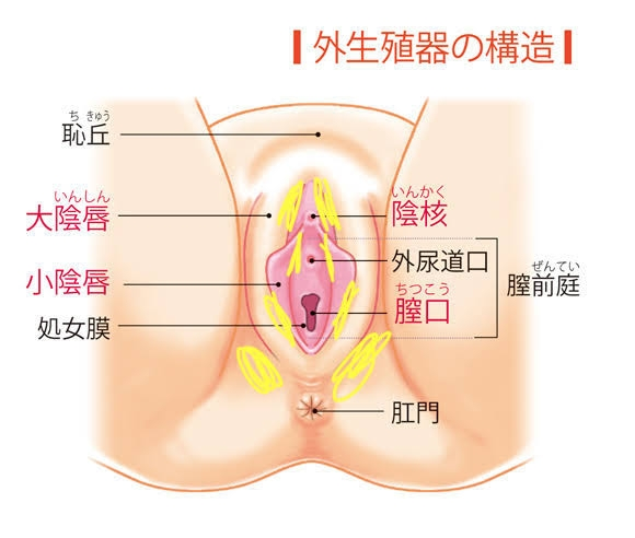 性病 性感染症 解決済みの質問 Yahoo 知恵袋