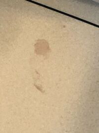 至急助けて下さい！！！ヘアカラー剤が床に落ちてしまって全然