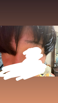 大大大至急 私は馬鹿です 現在マッシュヘアなんですが 前髪が長すぎるので自分 Yahoo 知恵袋