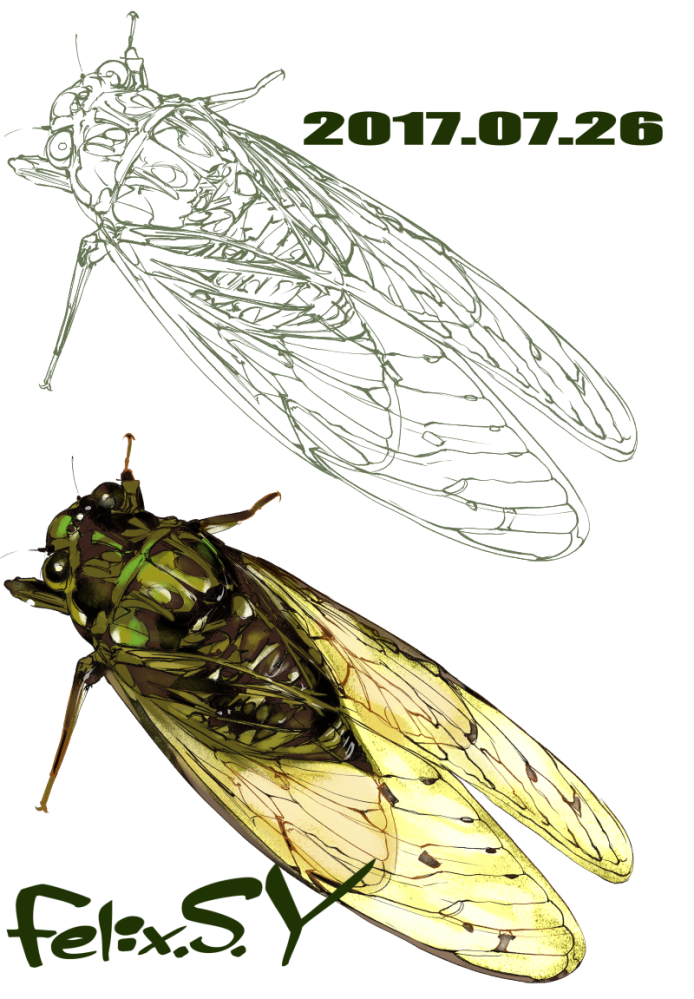 ★おはようごじゃいマシュマロ！ ボクは小学生でしゅ。 デジタルで昆虫の絵を描きまた！何の昆虫を描いたか、分かりましゅか？