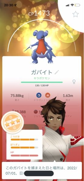 このガバイトをガブリアスに進化させてもいいですかね ジム レイドで主 Yahoo 知恵袋