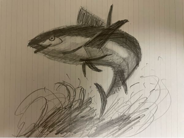この鉛筆画の改善点を教えてください 雑な書き方をやめる魚種をハッ Yahoo 知恵袋