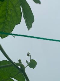 浅見光彦は あれだけ出会いがあるのに 結婚できないのはなぜですか Yahoo 知恵袋