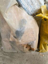 ワンピースのでんでん虫の着信音ありませんか Yahoo 知恵袋