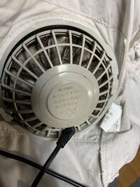 プニちゃんってなんですか ジガルデというポケモンの一部です なぜ ジ Yahoo 知恵袋