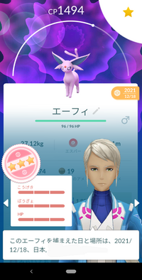 ポケモンusumでダンバルの性格一致色違いを仲間呼び連鎖で手に入 Yahoo 知恵袋