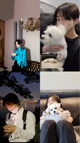 この4枚のジョンウォンの写真はsnsのアイコンや壁紙に使用することは Yahoo 知恵袋