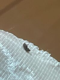 Smapとtokioとkinkikidsとv6を先輩順に並べるどうな Yahoo 知恵袋