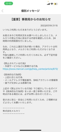 メルカリについての質問です。24時間の利用制限がかかりました理由は