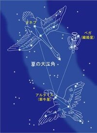 琴座 神話 と七夕 好きだったらやっぱり振り返っちゃうのかな Http W Yahoo 知恵袋