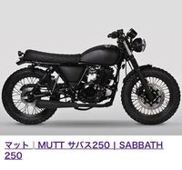 このバイクかっこいいですよね 人気車ですか 19歳女なのですが Yahoo 知恵袋