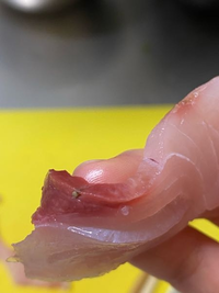 これはアニサキスですか ヒラマサの刺身です食べてはいません Yahoo 知恵袋