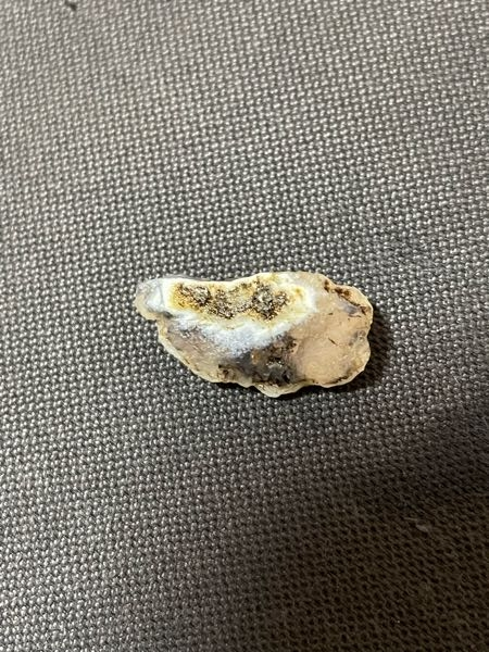 今日オパールの産地でこの石を拾ってきたのですが、この石はなんでしょうか？ わかる方よろしくお願いします。