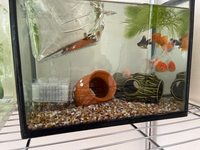 この水槽は 物が多すぎますか Yahoo 知恵袋