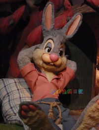 なぜ日本と海外のスプラッシュマウンテンではうさぎどんの色が茶色と灰色 Yahoo 知恵袋