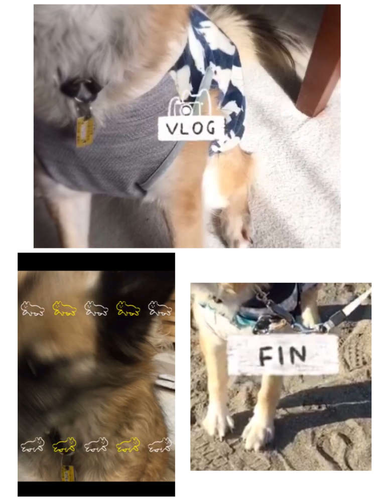以前使っていた動画編集アプリの名前が分かりません。 編集した動画は残っていて、動画の最初にvlog という文字と猫らしき動物がカメラを持っているイラストが流れ、複数のねこが歩いていたり、最後にf...