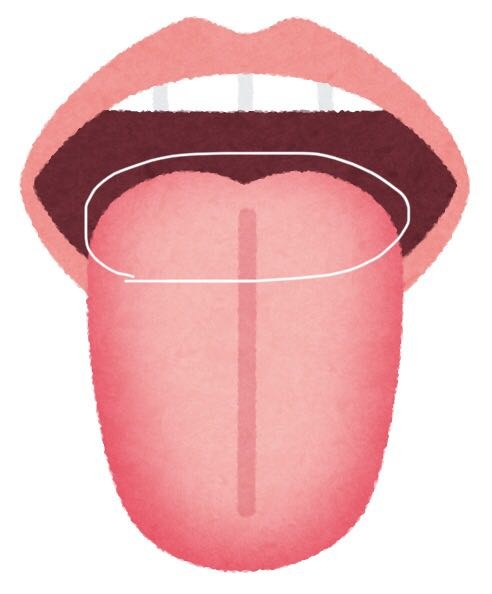 至急。 ベロの奥の方の舌苔はどうやって取るのですか？ 舌ブラシ等で取ろうとしても奥すぎて嗚咽してしまいます。何か良い方法があれば教えてください。