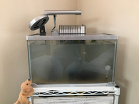 家のメダカに酸素を出す石を買いました しかし 3日ほどで酸素がでなくなり Yahoo 知恵袋