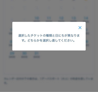 東京ディズニーリゾートで販売開始になった障害者パスポートについてお伺い Yahoo 知恵袋