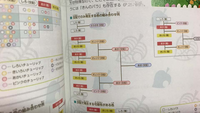 【あつ森 青バラ 交配】
あつまれどうぶつの森の、青バラ交配についての質問です。
発売当初に少し触れて、最近またやりこみ出した者なのですが、青バラ交配に苦戦しています。 使用している交配手順ですが、(電撃が編集した攻略本 あつまれどうぶつの森 ザ・コンプリートガイドの P255)を参考にしています。
攻略本発売後すぐに購入した物なので、現在の最新バージョンでは適用されないという事はあり...