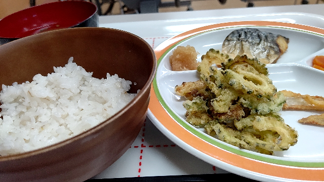 お昼はゴーヤの天ぷらを食べましたか？ 苦いけどおいしいです
