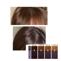 リーゼ泡カラーのエアリーブラウンで髪染めしたことのない黒髪から上の写真くらいの Yahoo 知恵袋