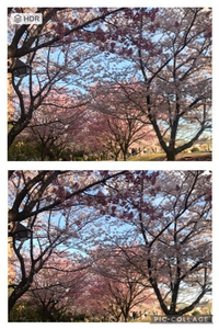 iphone写真hdrとオリジナルの写真が２枚づつ保存されてます。 グーグルフォトと同期されてるのでグーグルフォトの方でhdr写真を削除して整理をしたいのですが、iphone写真では、左上にhdrと表示があるのですがグーグルフォトでは表示がありません。グーグルフォトでhdrとオリジナルの写真の見分け方はあるのでしょうか？