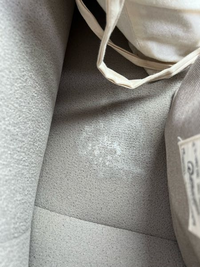 車の座席シートですがこれカビですよね 気づいたらこうなってて きれい Yahoo 知恵袋