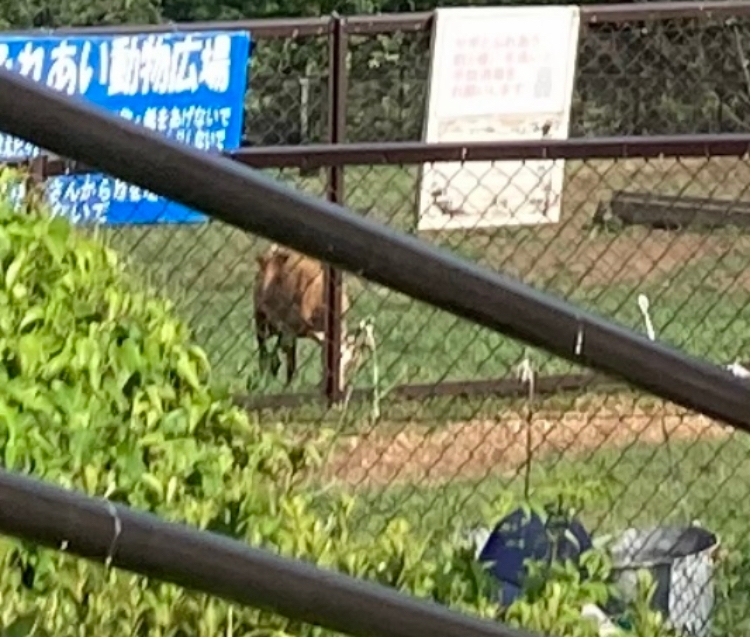 フェンスの描き方を教えてください 下の画像を描くのですが 一本一本金 Yahoo 知恵袋