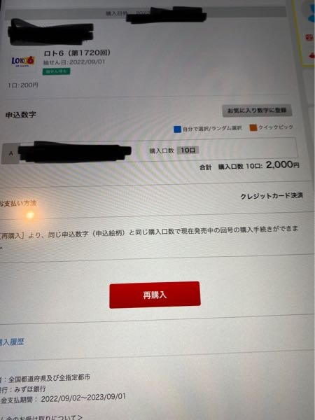 ロト6をクイックピックというのでで10口購入しました。10口購入した